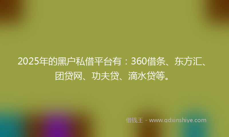 2025年的黑户私借平台有：360借条、东方汇、团贷网、功夫贷、滴水贷等。