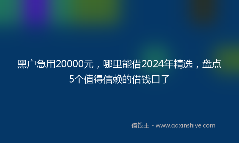 黑户急用20000元，哪里能借2024年精选，盘点5个值得信赖的借钱口子