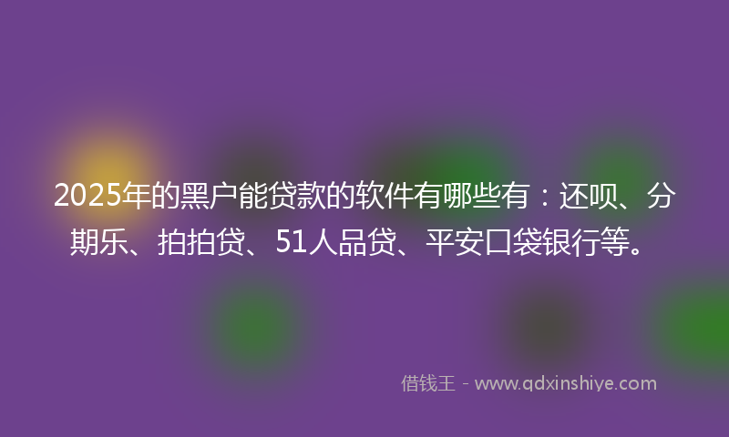 2025年的黑户能贷款的软件有哪些有：还呗、分期乐、拍拍贷、51人品贷、平安口袋银行等。