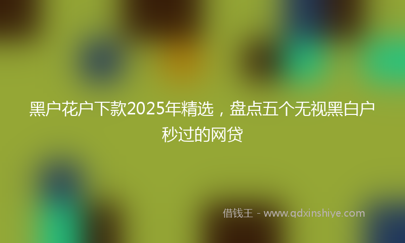 黑户花户下款2025年精选，盘点五个无视黑白户秒过的网贷