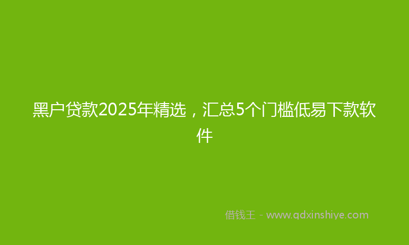 黑户贷款2025年精选，汇总5个门槛低易下款软件