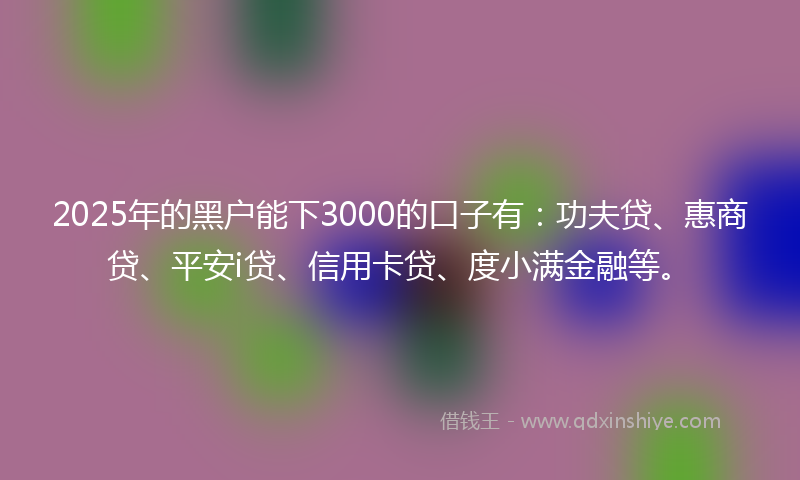 2025年的黑户能下3000的口子有：功夫贷、惠商贷、平安i贷、信用卡贷、度小满金融等。