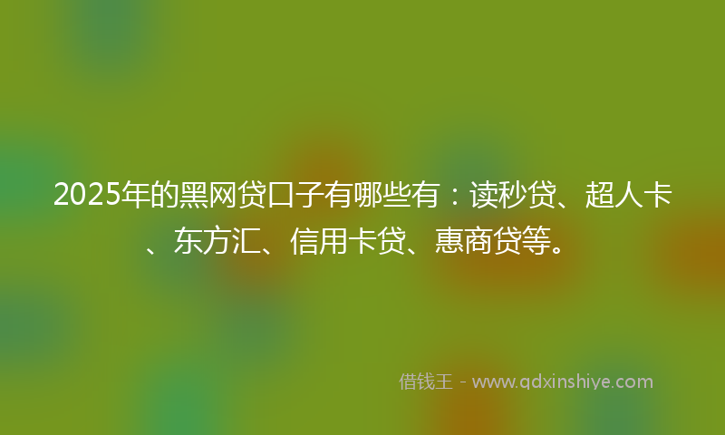 2025年的黑网贷口子有哪些有：读秒贷、超人卡、东方汇、信用卡贷、惠商贷等。