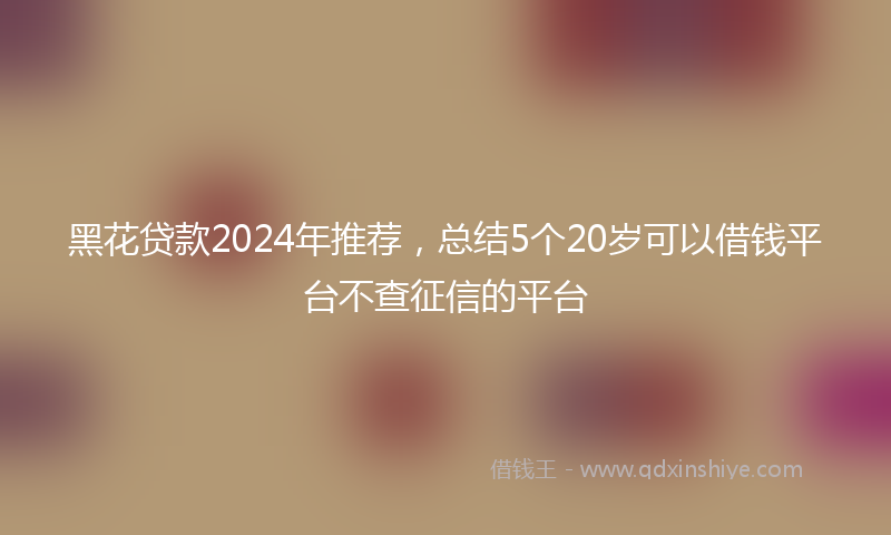 黑花贷款2024年推荐，总结5个20岁可以借钱平台不查征信的平台