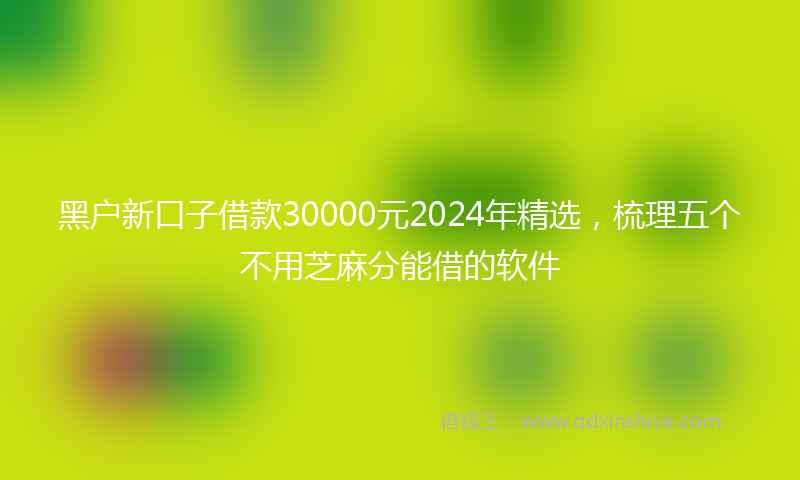 黑户新口子借款30000元2024年精选，梳理五个不用芝麻分能借的软件