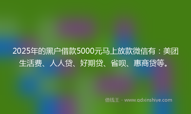 2025年的黑户借款5000元马上放款微信有：美团生活费、人人贷、好期贷、省呗、惠商贷等。