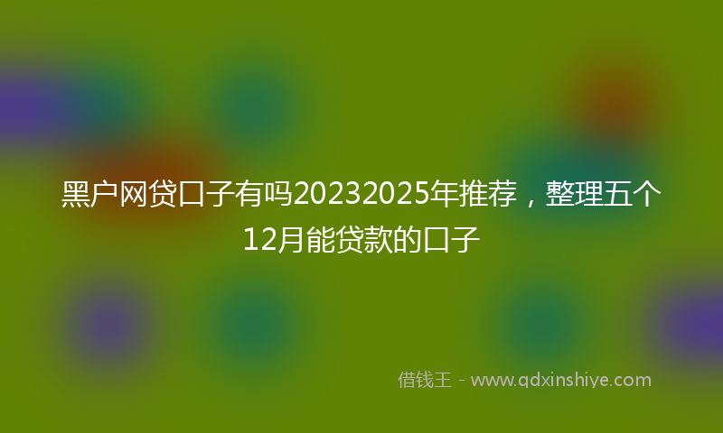 黑户网贷口子有吗20232025年推荐，整理五个12月能贷款的口子
