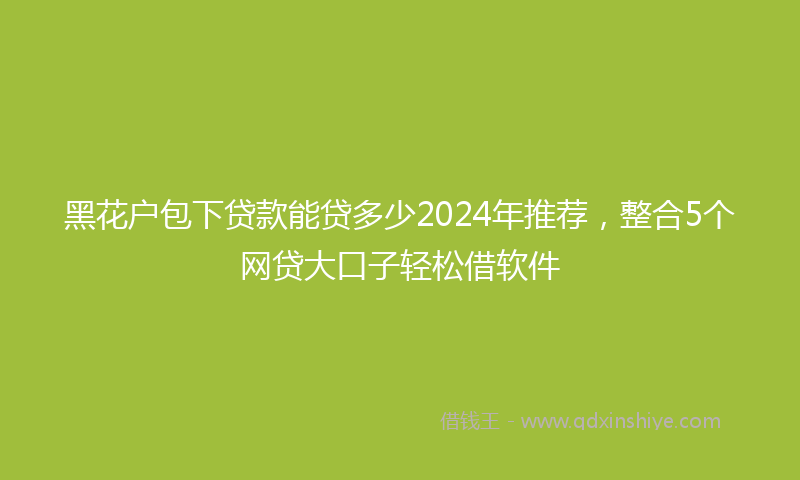 黑花户包下贷款能贷多少2024年推荐，整合5个网贷大口子轻松借软件