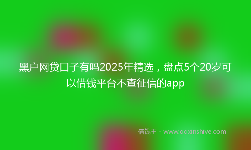 黑户网贷口子有吗2025年精选，盘点5个20岁可以借钱平台不查征信的app