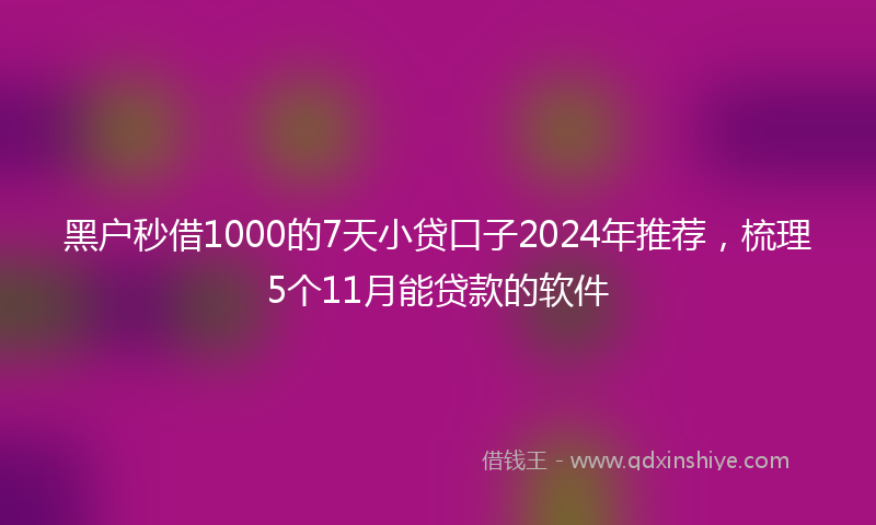 黑户秒借1000的7天小贷口子2024年推荐，梳理5个11月能贷款的软件