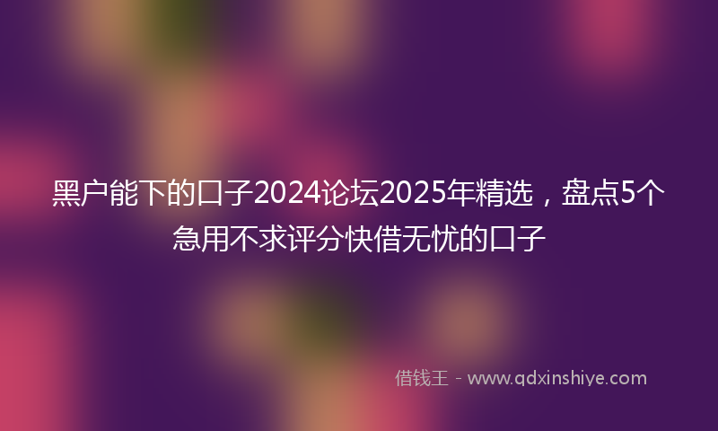 黑户能下的口子2024论坛2025年精选，盘点5个急用不求评分快借无忧的口子