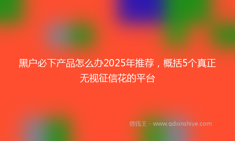 黑户必下产品怎么办2025年推荐，概括5个真正无视征信花的平台