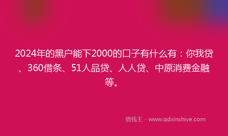 2024年的黑户能下2000的口子有什么有：你我贷、360借条、51人品贷、人人贷、中原消费金融等。