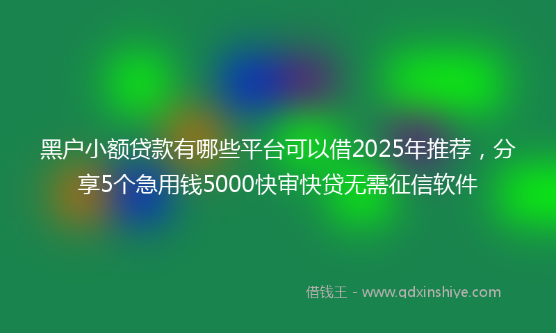 黑户小额贷款有哪些平台可以借2025年推荐，分享5个急用钱5000快审快贷无需征信软件