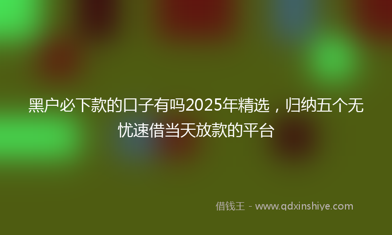 黑户必下款的口子有吗2025年精选，归纳五个无忧速借当天放款的平台