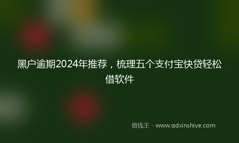 黑户逾期2024年推荐，梳理五个支付宝快贷轻松借软件