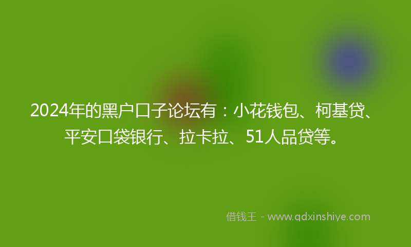 2024年的黑户口子论坛有：小花钱包、柯基贷、平安口袋银行、拉卡拉、51人品贷等。