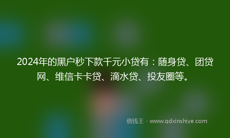 2024年的黑户秒下款千元小贷有：随身贷、团贷网、维信卡卡贷、滴水贷、投友圈等。