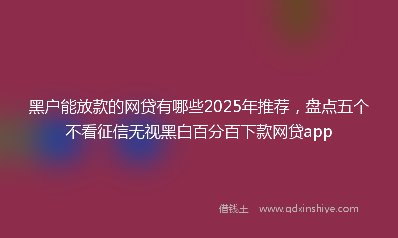 黑户能放款的网贷有哪些2025年推荐，盘点五个不看征信无视黑白百分百下款网贷app