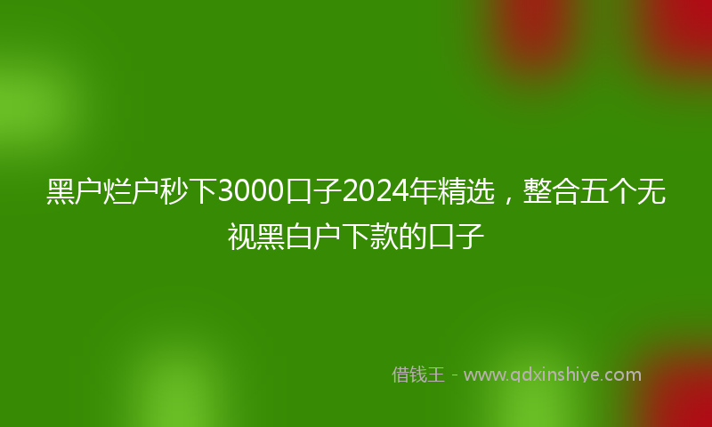 黑户烂户秒下3000口子2024年精选，整合五个无视黑白户下款的口子