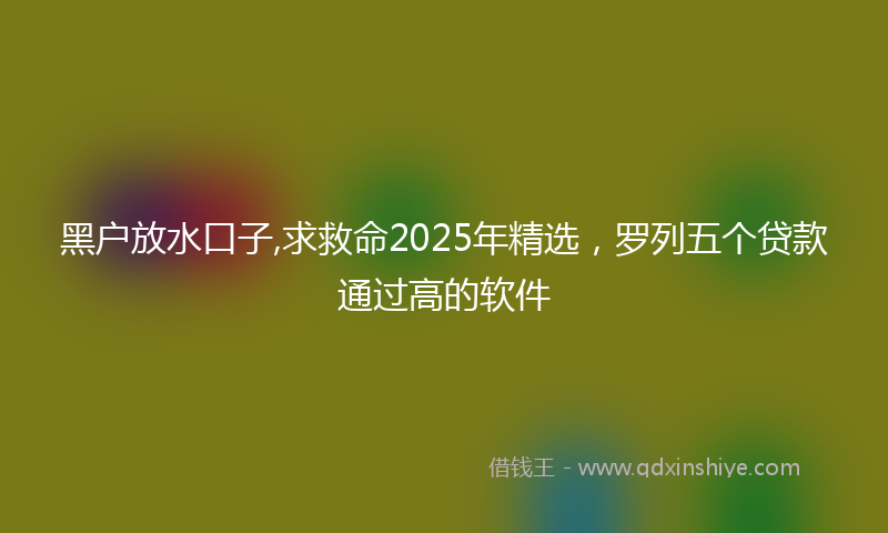 黑户放水口子,求救命2025年精选，罗列五个贷款通过高的软件