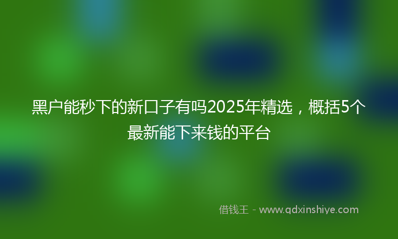 黑户能秒下的新口子有吗2025年精选，概括5个最新能下来钱的平台