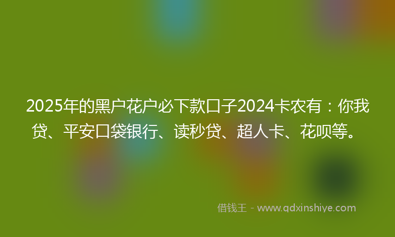 2025年的黑户花户必下款口子2024卡农有：你我贷、平安口袋银行、读秒贷、超人卡、花呗等。