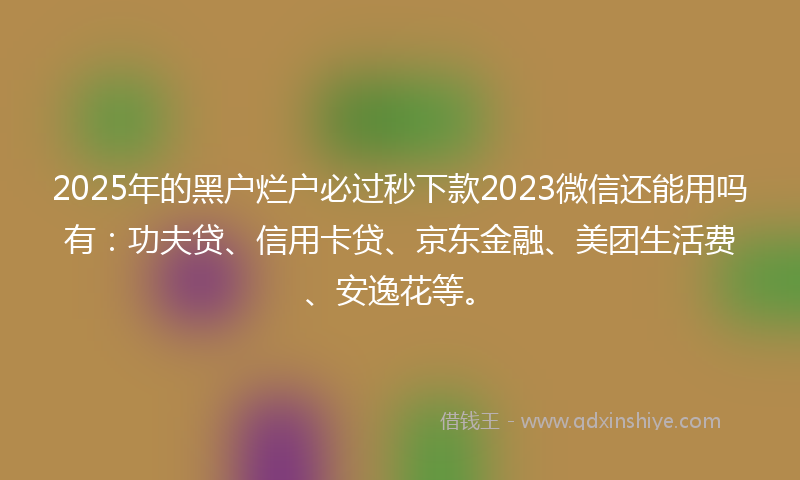 2025年的黑户烂户必过秒下款2023微信还能用吗有：功夫贷、信用卡贷、京东金融、美团生活费、安逸花等。