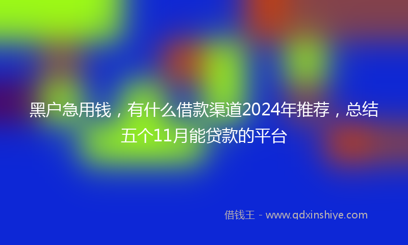 黑户急用钱，有什么借款渠道2024年推荐，总结五个11月能贷款的平台