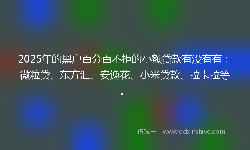 2025年的黑户百分百不拒的小额贷款有没有有：微粒贷、东方汇、安逸花、小米贷款、拉卡拉等。