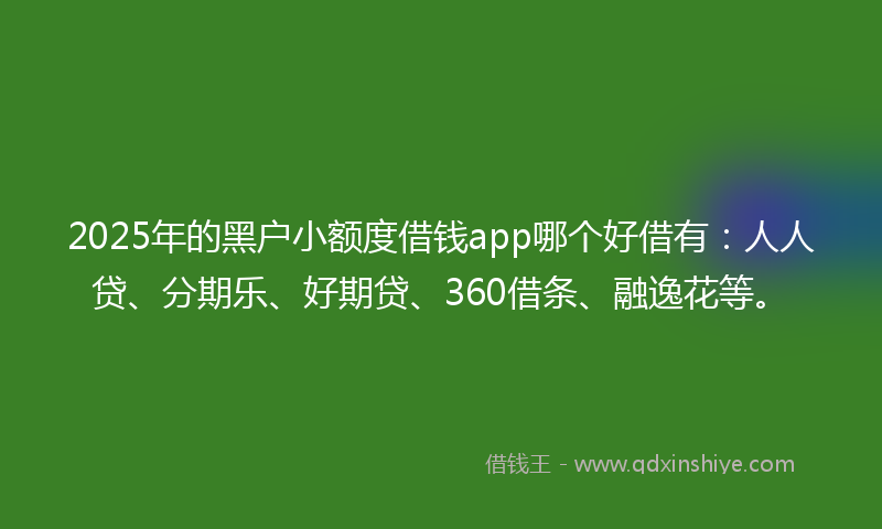 2025年的黑户小额度借钱app哪个好借有：人人贷、分期乐、好期贷、360借条、融逸花等。