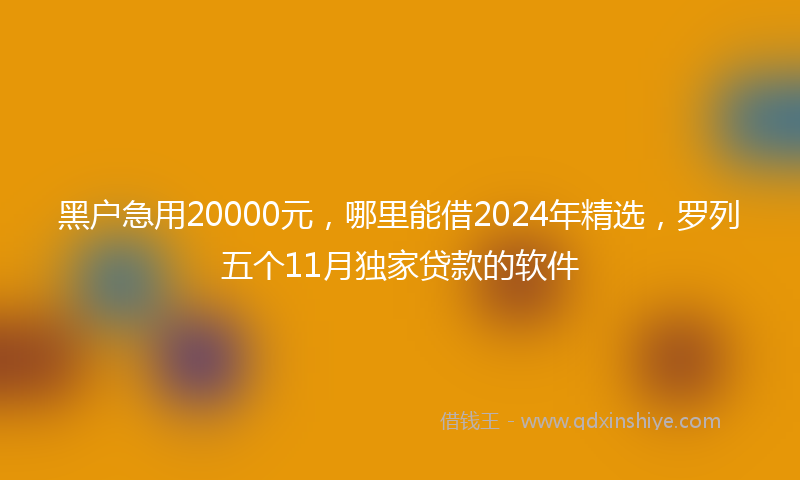 黑户急用20000元，哪里能借2024年精选，罗列五个11月独家贷款的软件