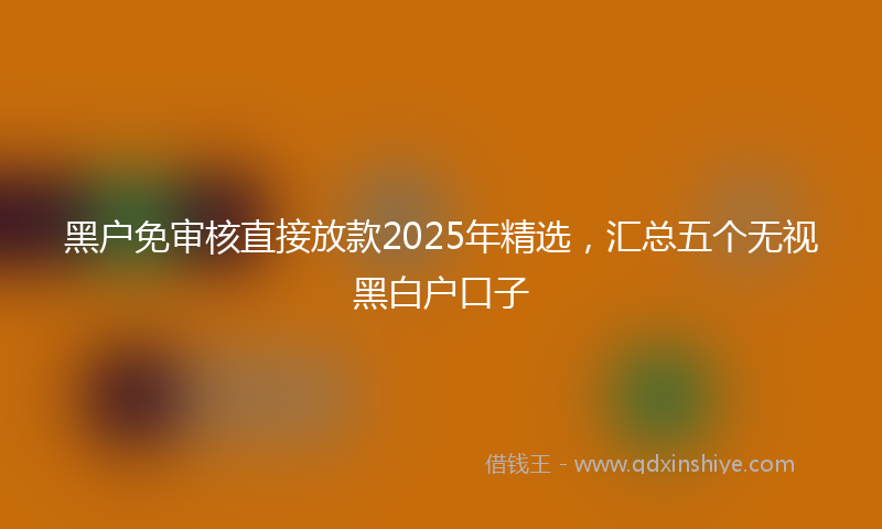 黑户免审核直接放款2025年精选，汇总五个无视黑白户口子