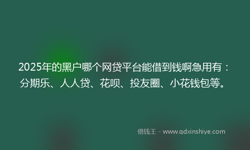 2025年的黑户哪个网贷平台能借到钱啊急用有：分期乐、人人贷、花呗、投友圈、小花钱包等。