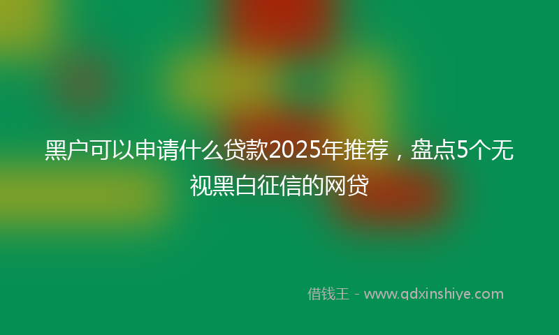 黑户可以申请什么贷款2025年推荐，盘点5个无视黑白征信的网贷