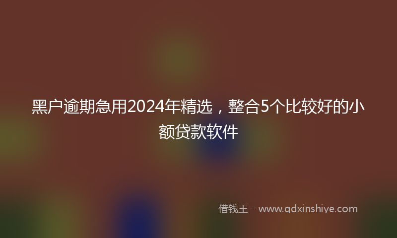 黑户逾期急用2024年精选，整合5个比较好的小额贷款软件
