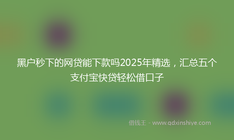 黑户秒下的网贷能下款吗2025年精选，汇总五个支付宝快贷轻松借口子