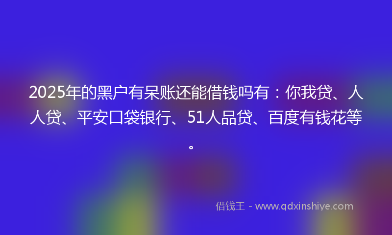 2025年的黑户有呆账还能借钱吗有：你我贷、人人贷、平安口袋银行、51人品贷、百度有钱花等。