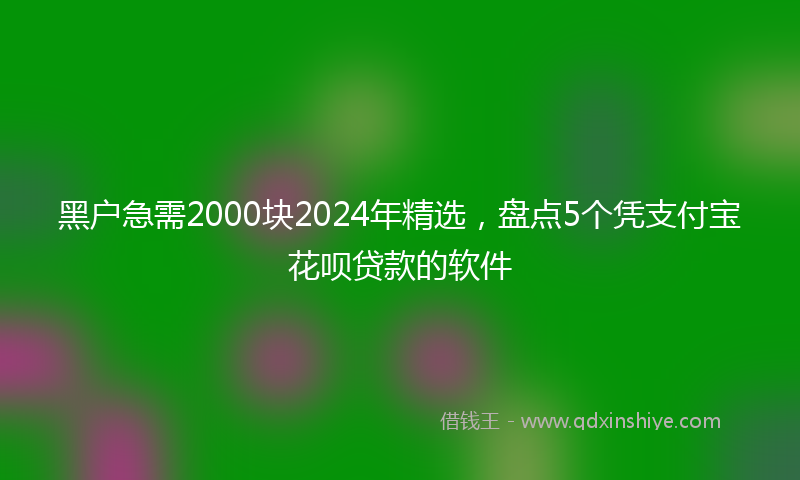 黑户急需2000块2024年精选，盘点5个凭支付宝花呗贷款的软件