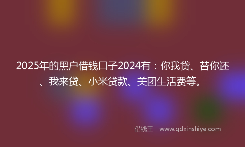 2025年的黑户借钱口子2024有：你我贷、替你还、我来贷、小米贷款、美团生活费等。