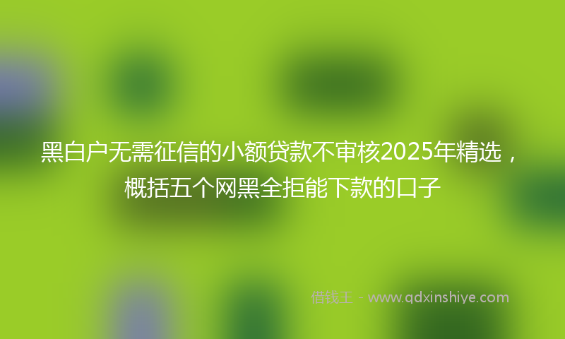 黑白户无需征信的小额贷款不审核2025年精选，概括五个网黑全拒能下款的口子