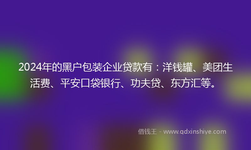 2024年的黑户包装企业贷款有：洋钱罐、美团生活费、平安口袋银行、功夫贷、东方汇等。