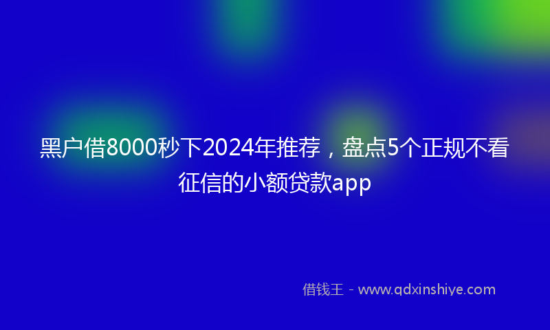 黑户借8000秒下2024年推荐，盘点5个正规不看征信的小额贷款app