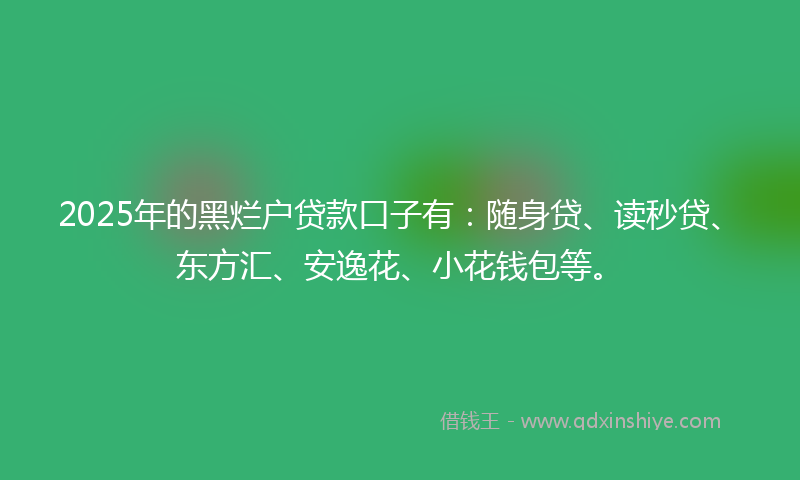 2025年的黑烂户贷款口子有：随身贷、读秒贷、东方汇、安逸花、小花钱包等。
