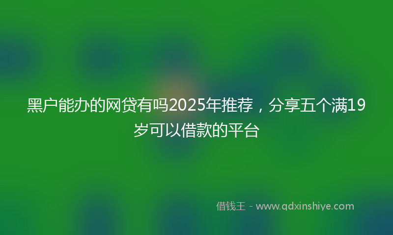 黑户能办的网贷有吗2025年推荐，分享五个满19岁可以借款的平台