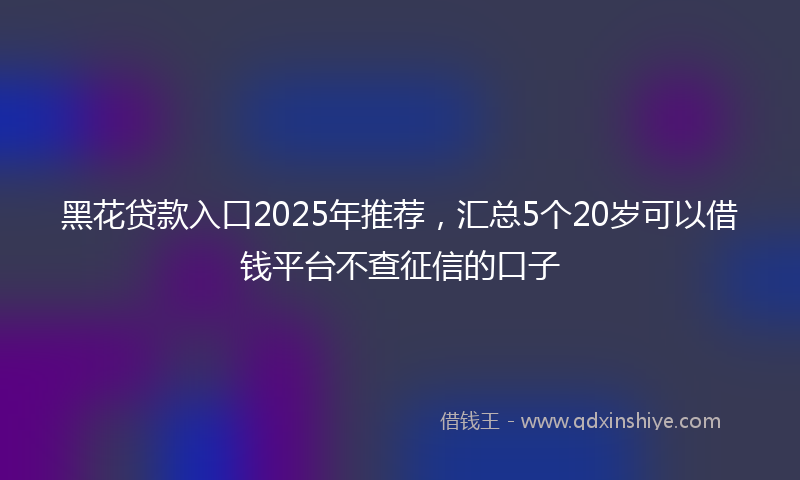 黑花贷款入口2025年推荐，汇总5个20岁可以借钱平台不查征信的口子