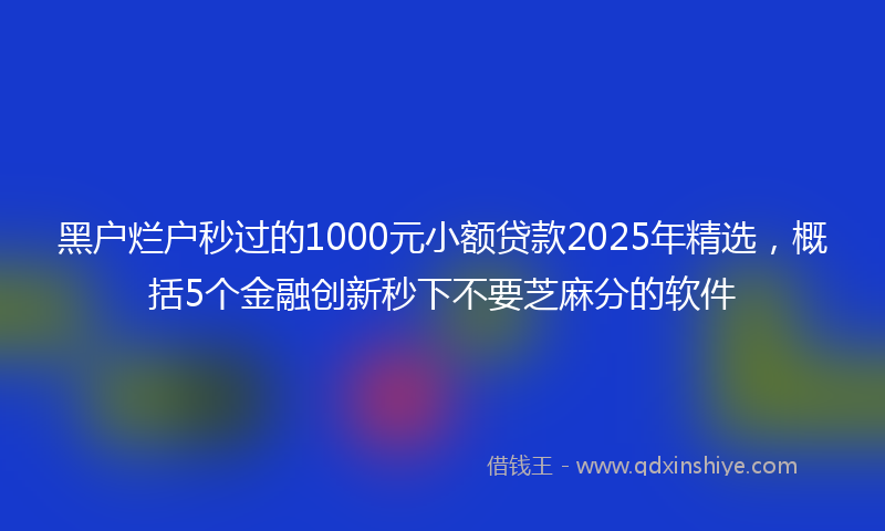 黑户烂户秒过的1000元小额贷款2025年精选，概括5个金融创新秒下不要芝麻分的软件