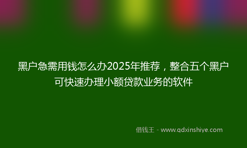 黑户急需用钱怎么办2025年推荐，整合五个黑户可快速办理小额贷款业务的软件