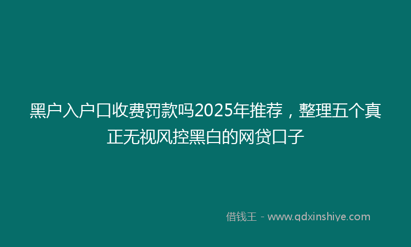 黑户入户口收费罚款吗2025年推荐，整理五个真正无视风控黑白的网贷口子