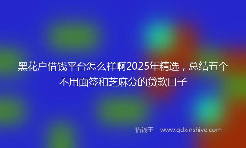 黑花户借钱平台怎么样啊2025年精选，总结五个不用面签和芝麻分的贷款口子